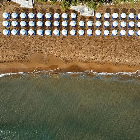 Giannoulis - Santa Marina Beach Hotel Agia Marina  Екстер'єр фото